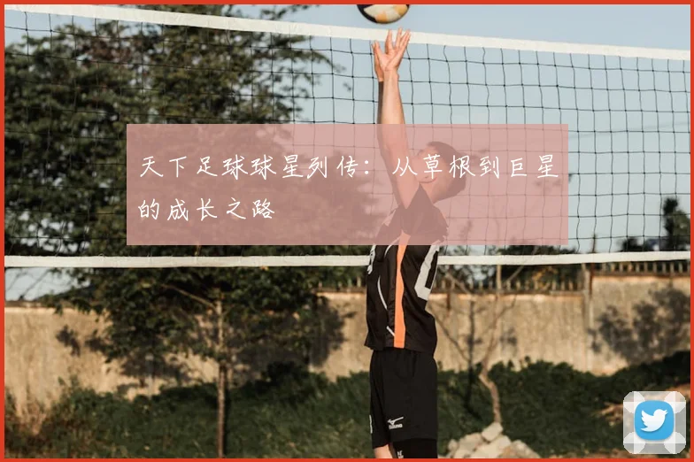 天下足球球星列传：从草根到巨星的成长之路
